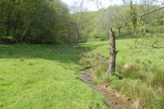 44.Leaving Old Stowey Wood