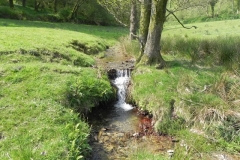 45.Leaving Old Stowey Wood