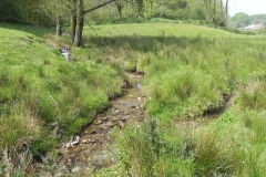 46. Downstream from Old Stowey Farm
