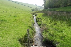 47. Downstream from Old Stowey Farm