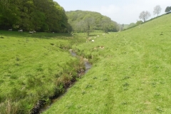48. Downstream from Old Stowey Farm