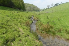 49. Downstream from Old Stowey Farm