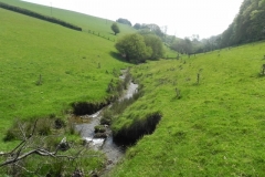50. Downstream from Old Stowey Farm