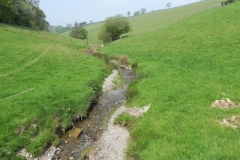 52. Looking upstream from  from Old Stowey Farm track culvert