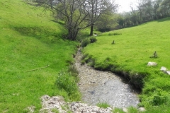 55. Looking downstream from  from Old Stowey Farm track culvert