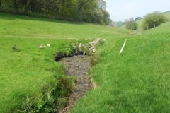 56. Upstream from Throat Cottages