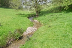 57. Upstream from Throat Cottages