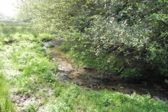 58. Upstream from Throat Cottages