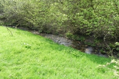 59. Upstream from Throat Cottages