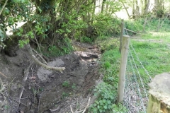60. Waters join from Woodland Brake