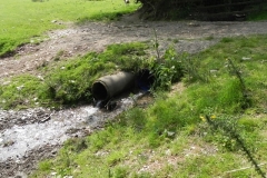 61. Waters join from Woodland Brake