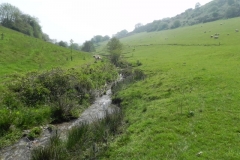 63. Downstream from Throat Cottages