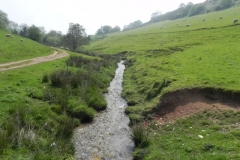 65. Upstream from Throat Cottages