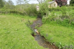 10. Downstream from Westcott Farm