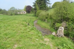 11. Downstream from Westcott Farm
