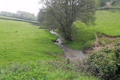 12. Downstream from Westcott Farm