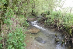 27. Flowing through Roadway Wood