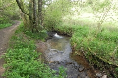 33. Flowing through Roadway Wood