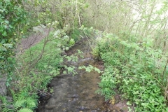34. Looking upstream from ROW footbridge 2808