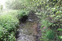 37. Looking downstream from ROW footbridge 2808