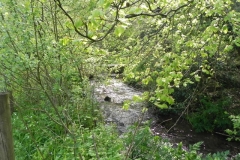 38. Upstream from Kingsbridge