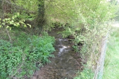 39. Upstream from Kingsbridge