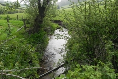 6. Looking downstream from Westcott Farm ford footbridge