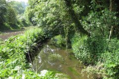 61Looking-Upstream-from-Accomodation-Bridge-Downstream-from-Shepton-Road-Bridge