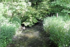 62Looking-Downstream-from-Accomodation-Bridge-Downstream-from-Shepton-Road-Bridge