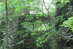 68Higher-Mill-Croscombe