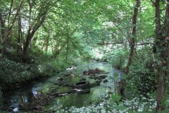 69-Downstream-from-Higher-Mill-Croscombe-2