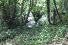 69-Downstream-from-Higher-Mill-Croscombe-3