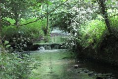 72Weir-Downstream-from-Higher-Mill-Croscombe