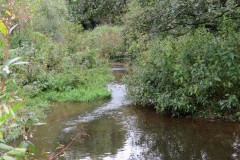IMG_1695