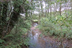 IMG_1701