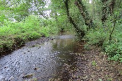 IMG_1702