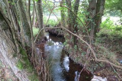 IMG_1729