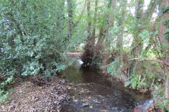 IMG_1730