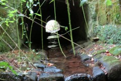 IMG_1744