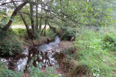 IMG_1745