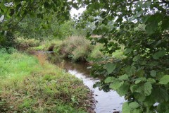 IMG_1747