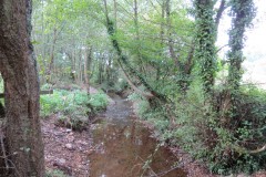 IMG_1758
