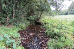 IMG_1760