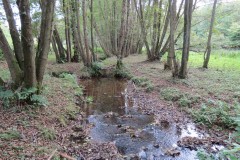 IMG_1778
