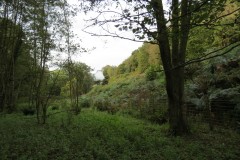 IMG_1779