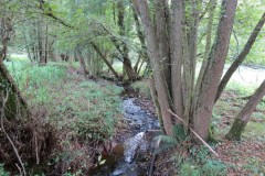IMG_1786