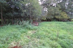 IMG_1801