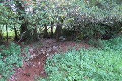 IMG_1802