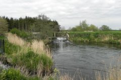 Hainbury Mill