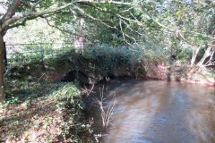 Halse Water